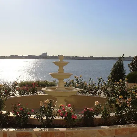 Gardenia Palace 3* פומורי