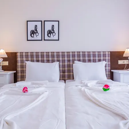 Gardenia Palace 3* 포마리